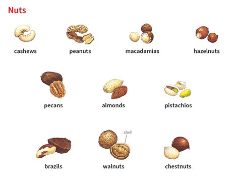 nuts traduction|nuts meaning in french.